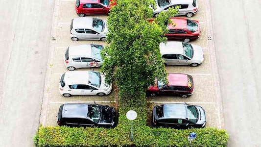 Placeholder for 221000 Natuur in de stad