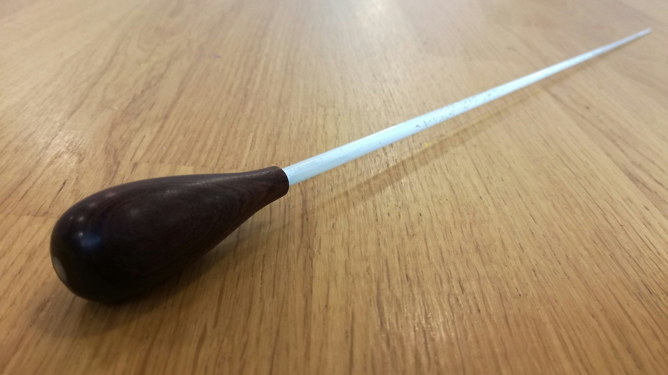 RESIZED CURSUS Cursus directie1 180702 Nicky Bohn