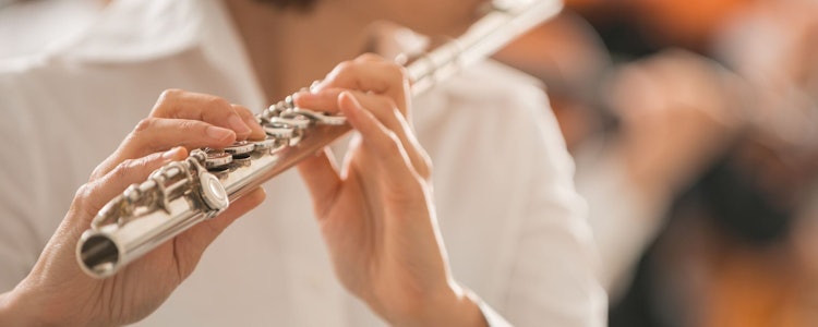 Placeholder for 241003 Dwarsfluit volwassenen Canva