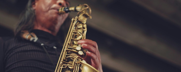 Placeholder for WEB 240930 Saxofoon volwassenen pexels chevanon