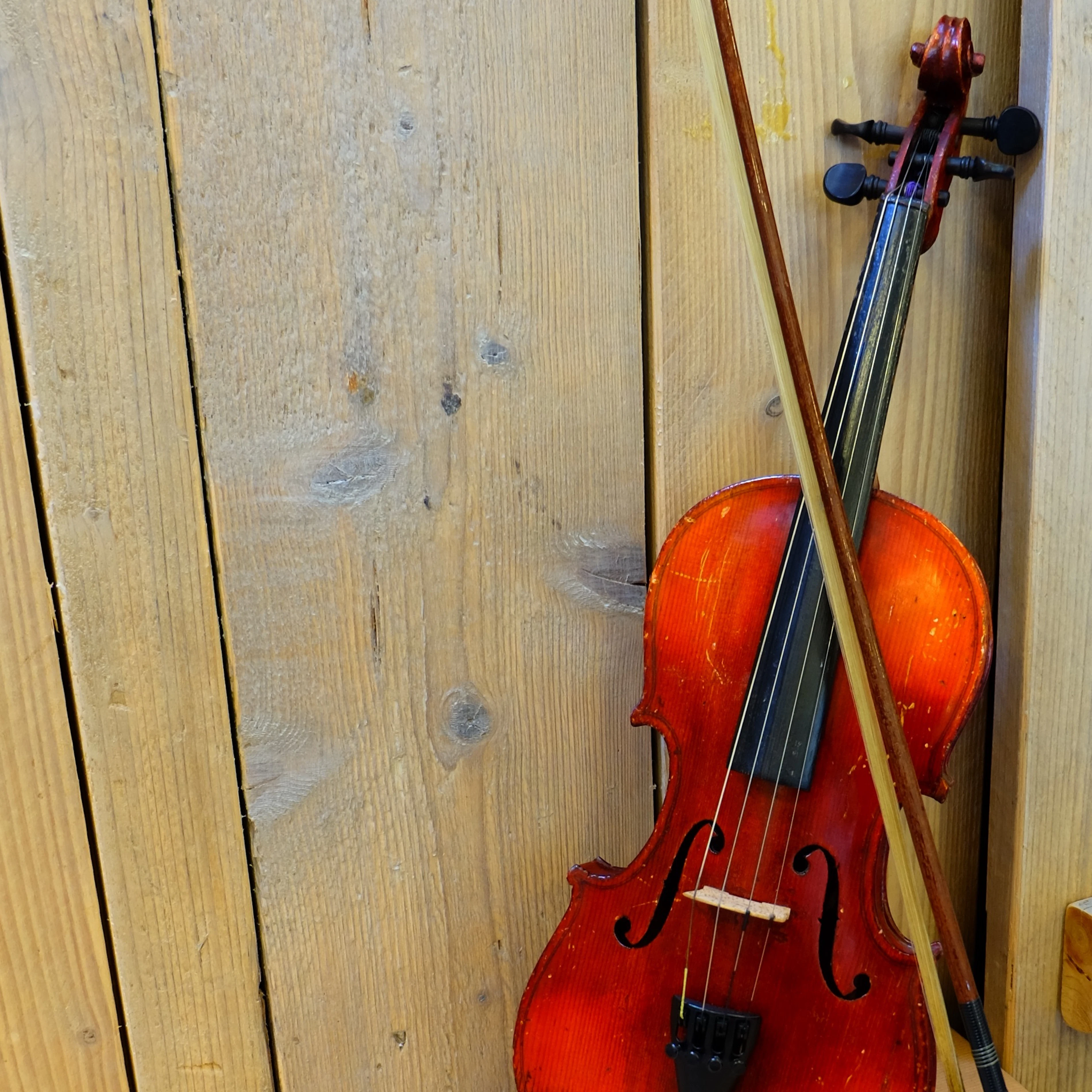 WEB INSTRUMENT Viool1 160313 Nicky Bohn kopie